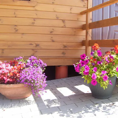 Muszelka Letniskowe Nad Morzem