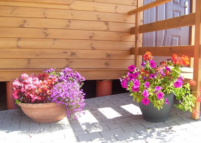 Muszelka Letniskowe Nad Morzem